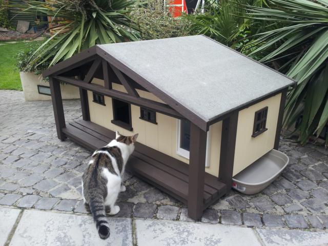 "A luxury custom beach style cat house