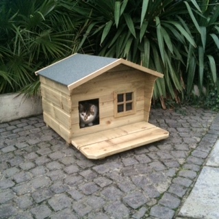 swiss cat house